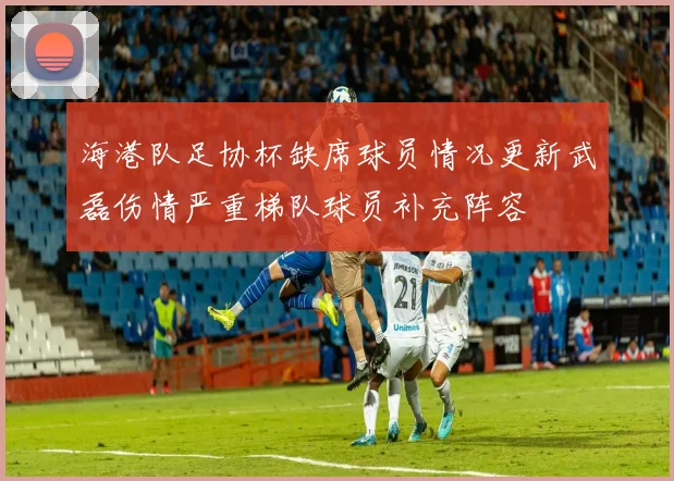海港队足协杯缺席球员情况更新武磊伤情严重梯队球员补充阵容