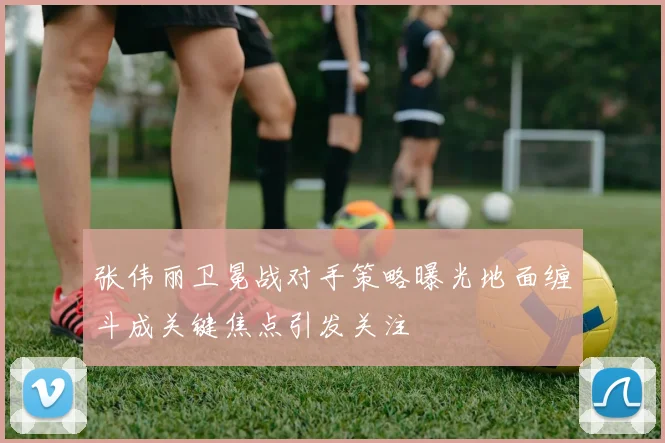 张伟丽卫冕战对手策略曝光地面缠斗成关键焦点引发关注