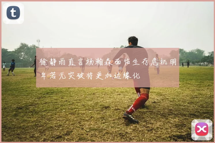 徐静雨直言杨瀚森面临生存危机明年若无突破将更加边缘化