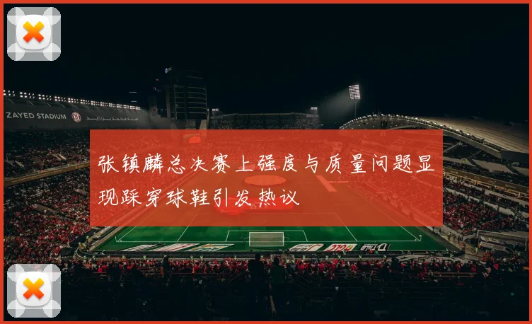 张镇麟总决赛上强度与质量问题显现踩穿球鞋引发热议