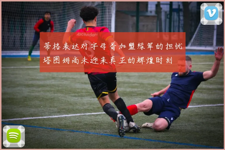 蒂格表达对字母哥加盟绿军的担忧塔图姆尚未迎来真正的辉煌时刻