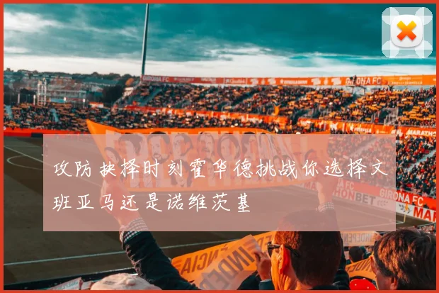 攻防抉择时刻霍华德挑战你选择文班亚马还是诺维茨基