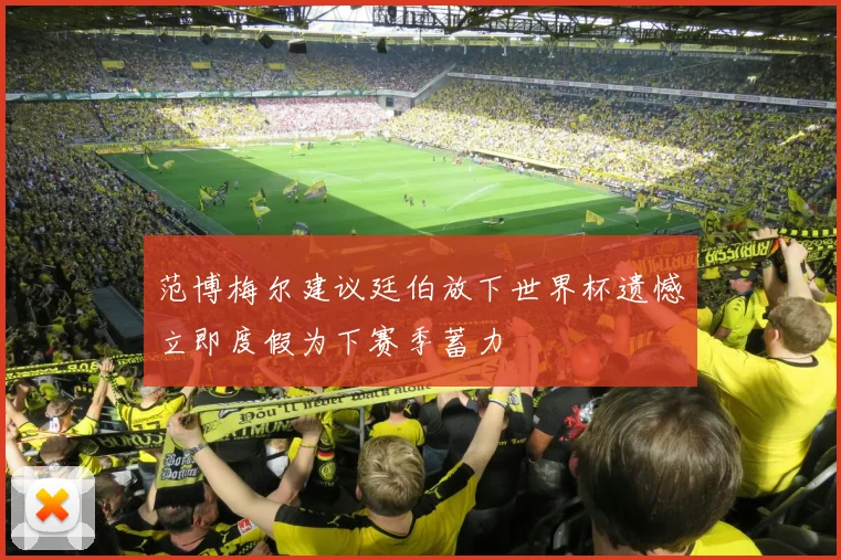 范博梅尔建议廷伯放下世界杯遗憾立即度假为下赛季蓄力