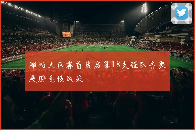 潍坊大区赛首度启幕18支强队齐聚展现竞技风采